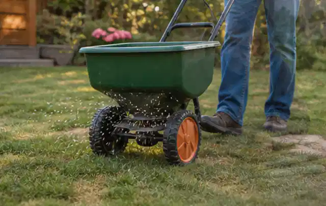 Person verteilt Rasensamen mit einem Streuwagen auf einer lückigen Fläche; Thema Ecovacs Goat, Schwerpunkt Gärten mit kleiner Fläche; Kontrolle.