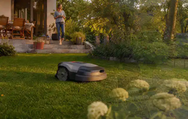 Mähroboter fährt am Abend über einen Rasen im Familiengarten; Thema Ecovacs Goat, Schwerpunkt Leistung; Kontrolle.