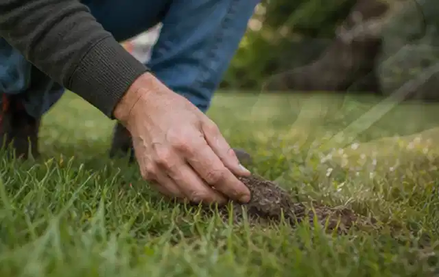 Hand hebt eine kleine Bodenprobe aus einer grünen Rasenfläche; Thema Ecovacs Goat, Schwerpunkt Nachhaltigkeit; Umsetzung.