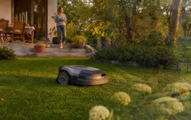 Mähroboter fährt am Abend über einen Rasen im Familiengarten; Thema Ecovacs Goat, Schwerpunkt Reparatur; Ergebnis.