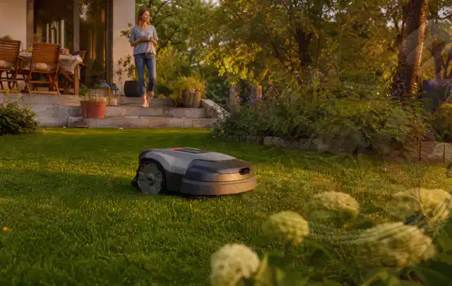 Mähroboter fährt am Abend über einen Rasen im Familiengarten; Thema Ecovacs Goat, Schwerpunkt Winterlager; Umsetzung.