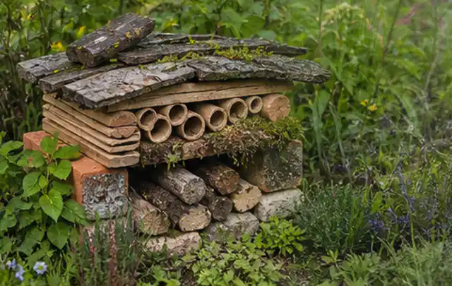 Naturnaher Unterschlupf aus Holz Rinde und Pflanzenstängeln im Garten; Thema Engerlinge, Schwerpunkt Saison; Umsetzung.