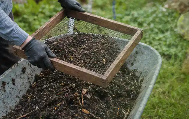 Behandschuhte Hände sieben reifen Kompost über einer Gartenschubkarre; Thema Erbsen, Schwerpunkt Einsteigerwissen; Umsetzung.