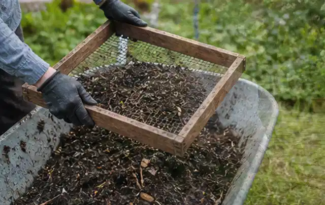 Behandschuhte Hände sieben reifen Kompost über einer Gartenschubkarre; Thema Erbsen, Schwerpunkt Ernte; Praxisalltag.