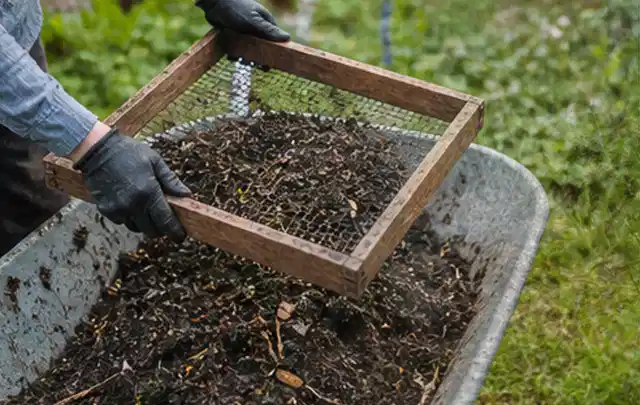Behandschuhte Hände sieben reifen Kompost über einer Gartenschubkarre; Thema Erbsen, Schwerpunkt Fehlerhilfe; Praxisalltag.