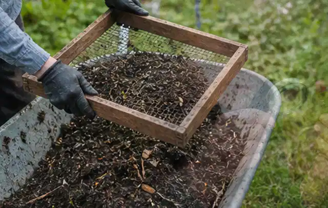 Behandschuhte Hände sieben reifen Kompost über einer Gartenschubkarre; Thema Erdbeeren, Schwerpunkt Fehlerhilfe; Ausgangslage.