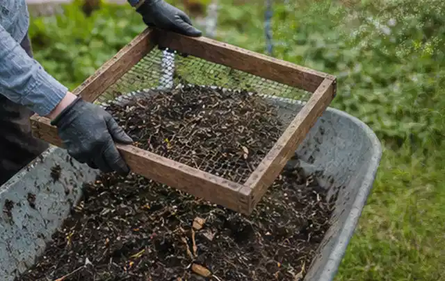 Behandschuhte Hände sieben reifen Kompost über einer Gartenschubkarre; Thema Erdbeeren, Schwerpunkt Nährstoffe; Ausgangslage.