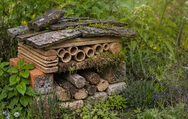 Naturnaher Unterschlupf aus Holz Rinde und Pflanzenstängeln im Garten; Thema Familiengarten, Schwerpunkt Materialwahl; Kontrolle.