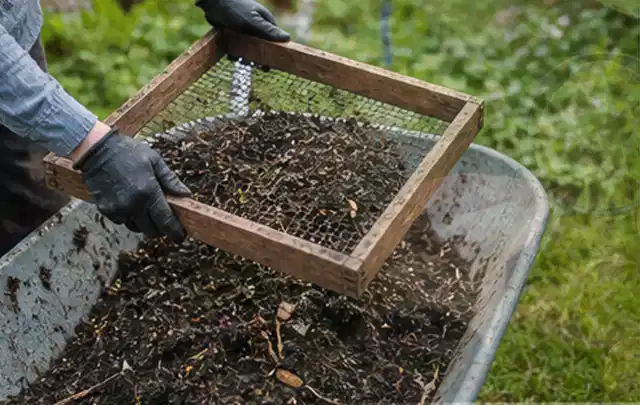 Behandschuhte Hände sieben reifen Kompost über einer Gartenschubkarre; Thema Feigen, Schwerpunkt Boden; Ausgangslage.