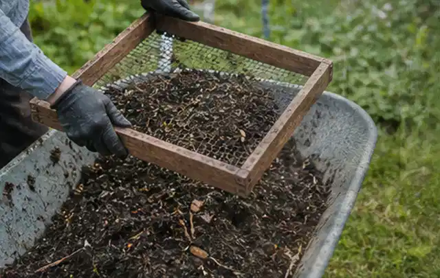 Behandschuhte Hände sieben reifen Kompost über einer Gartenschubkarre; Thema Feigen, Schwerpunkt Lagerung; Ausgangslage.