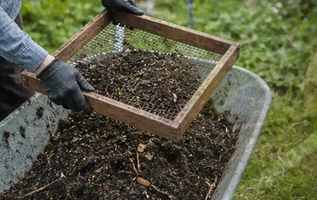 Behandschuhte Hände sieben reifen Kompost über einer Gartenschubkarre; Thema Feigen, Schwerpunkt Nährstoffe; Ergebnis.