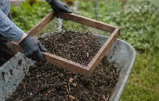 Behandschuhte Hände sieben reifen Kompost über einer Gartenschubkarre; Thema Fenchel, Schwerpunkt Boden; Umsetzung.