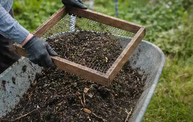 Behandschuhte Hände sieben reifen Kompost über einer Gartenschubkarre; Thema Fenchel, Schwerpunkt Lagerung; Praxisalltag.