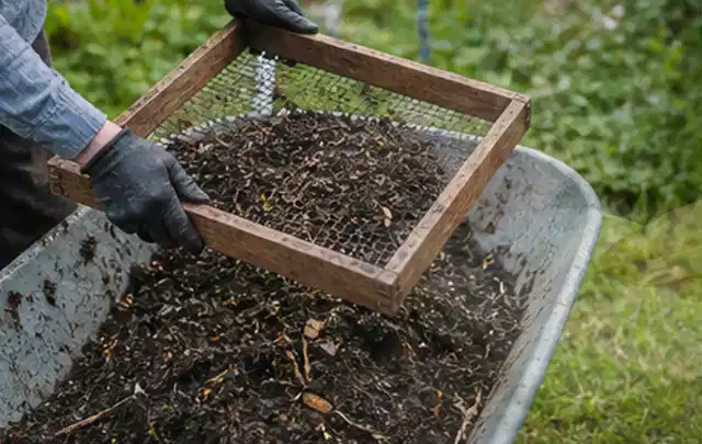 Behandschuhte Hände sieben reifen Kompost über einer Gartenschubkarre; Thema Fenchel, Schwerpunkt Nährstoffe; Ausgangslage.