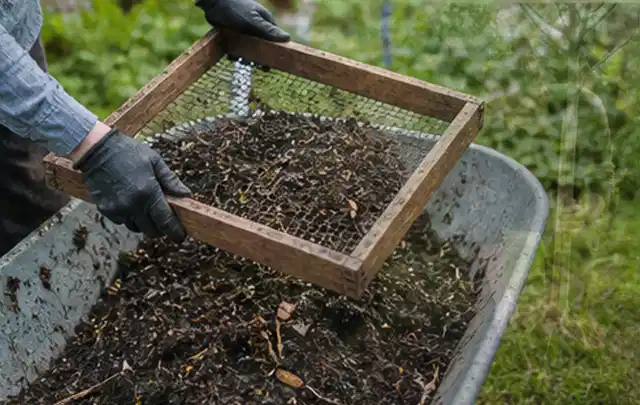 Behandschuhte Hände sieben reifen Kompost über einer Gartenschubkarre; Thema Fenchel, Schwerpunkt Pflanzenschutz; Umsetzung.