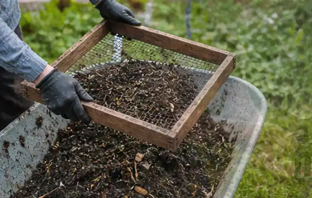 Behandschuhte Hände sieben reifen Kompost über einer Gartenschubkarre; Thema Fenchel, Schwerpunkt Saisonkalender; Kontrolle.