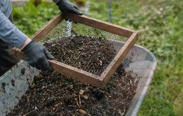 Behandschuhte Hände sieben reifen Kompost über einer Gartenschubkarre; Thema Fenchel, Schwerpunkt Schnitt; Umsetzung.