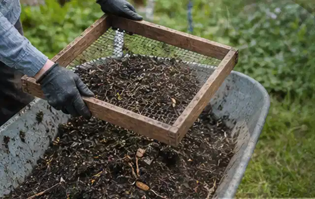 Behandschuhte Hände sieben reifen Kompost über einer Gartenschubkarre; Thema Fenchel, Schwerpunkt Standort; Ausgangslage.