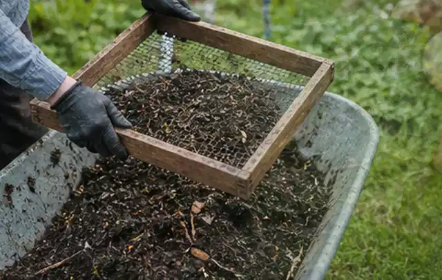 Behandschuhte Hände sieben reifen Kompost über einer Gartenschubkarre; Thema Foliengewächshaus, Schwerpunkt Aufbau; Umsetzung.