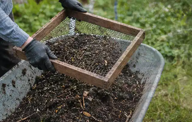Behandschuhte Hände sieben reifen Kompost über einer Gartenschubkarre; Thema Foliengewächshaus, Schwerpunkt DIY; Praxisalltag.
