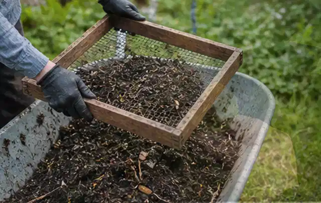 Behandschuhte Hände sieben reifen Kompost über einer Gartenschubkarre; Thema Foliengewächshaus, Schwerpunkt Gestaltung; Umsetzung.