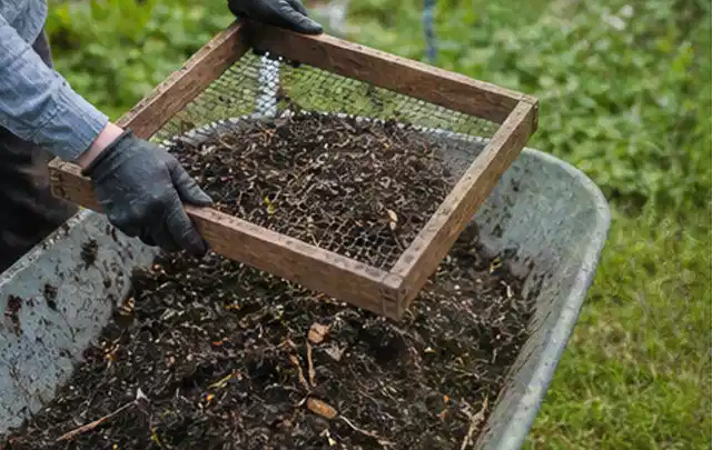 Behandschuhte Hände sieben reifen Kompost über einer Gartenschubkarre; Thema Foliengewächshaus, Schwerpunkt Kosten; Praxisalltag.