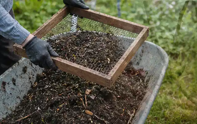Behandschuhte Hände sieben reifen Kompost über einer Gartenschubkarre; Thema Foliengewächshaus, Schwerpunkt Materialwahl; Kontrolle.