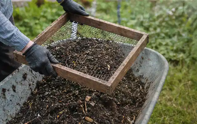 Behandschuhte Hände sieben reifen Kompost über einer Gartenschubkarre; Thema Foliengewächshaus, Schwerpunkt Planung; Ergebnis.