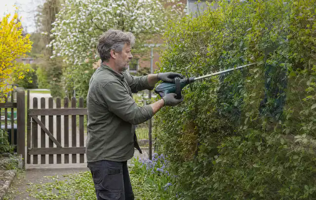 Person schneidet eine Gartenhecke mit einem motorisierten Gartengerät; Thema Freischneider, Schwerpunkt Anwendung; Umsetzung.