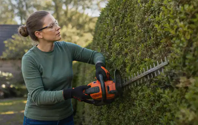 Person schneidet eine dichte Gartenhecke mit Schutzbrille und sicherem Stand; Thema Freischneider, Schwerpunkt Anwendung; Ergebnis.