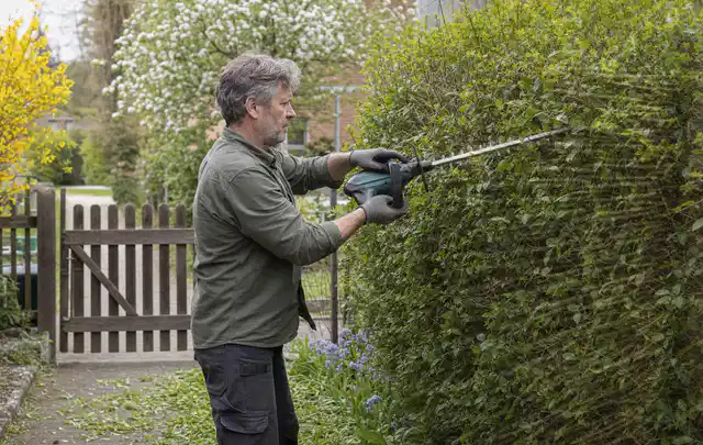 Person schneidet eine Gartenhecke mit einem motorisierten Gartengerät; Thema Freischneider, Schwerpunkt Bestenliste; Praxisalltag.