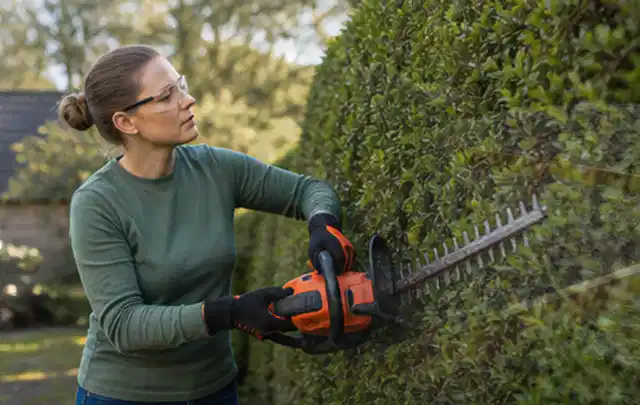 Person schneidet eine dichte Gartenhecke mit Schutzbrille und sicherem Stand; Thema Freischneider, Schwerpunkt Checkliste; Umsetzung.