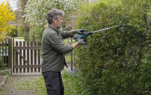 Person schneidet eine Gartenhecke mit einem motorisierten Gartengerät; Thema Freischneider, Schwerpunkt Dimensionierung; Umsetzung.