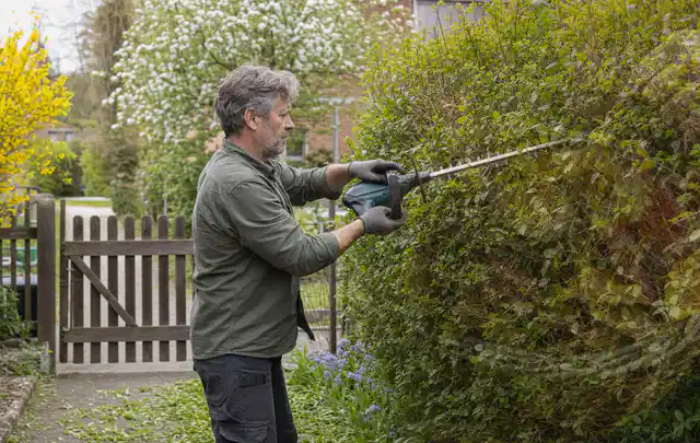 Person schneidet eine Gartenhecke mit einem motorisierten Gartengerät; Thema Freischneider, Schwerpunkt Ersatzteile; Praxisalltag.