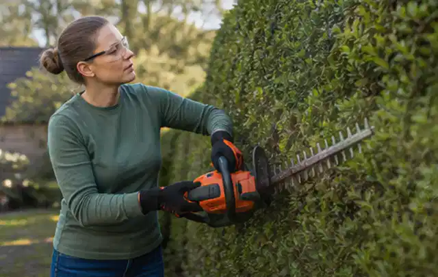 Person schneidet eine dichte Gartenhecke mit Schutzbrille und sicherem Stand; Thema Freischneider, Schwerpunkt Fehlerhilfe; Umsetzung.