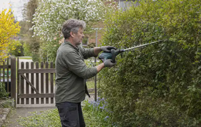 Person schneidet eine Gartenhecke mit einem motorisierten Gartengerät; Thema Freischneider, Schwerpunkt Fehlerhilfe; Ergebnis.