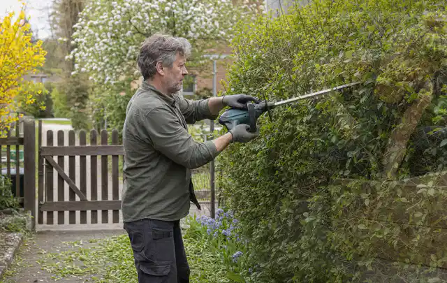 Person schneidet eine Gartenhecke mit einem motorisierten Gartengerät; Thema Freischneider, Schwerpunkt Gärten mit kleiner Fläche; Ausgangslage.