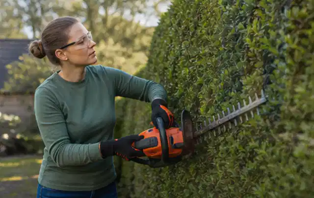 Person schneidet eine dichte Gartenhecke mit Schutzbrille und sicherem Stand; Thema Freischneider, Schwerpunkt Gärten mit kleiner Fläche; Ergebnis.