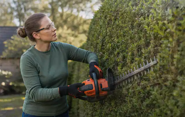 Person schneidet eine dichte Gartenhecke mit Schutzbrille und sicherem Stand; Thema Freischneider, Schwerpunkt Gartengeräte; Kontrolle.