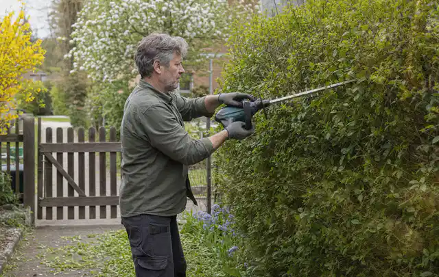 Person schneidet eine Gartenhecke mit einem motorisierten Gartengerät; Thema Freischneider, Schwerpunkt Gartengeräte; Ergebnis.