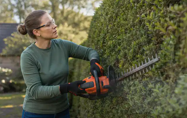 Person schneidet eine dichte Gartenhecke mit Schutzbrille und sicherem Stand; Thema Freischneider, Schwerpunkt Kaufberatung; Umsetzung.