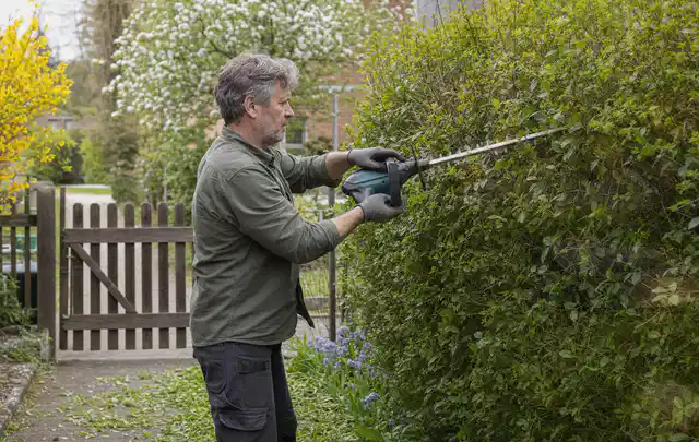 Person schneidet eine Gartenhecke mit einem motorisierten Gartengerät; Thema Freischneider, Schwerpunkt Kaufberatung; Praxisalltag.