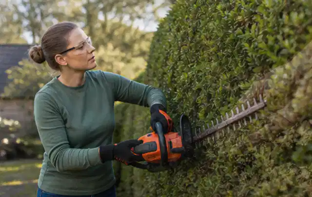 Person schneidet eine dichte Gartenhecke mit Schutzbrille und sicherem Stand; Thema Freischneider, Schwerpunkt Kosten; Ausgangslage.