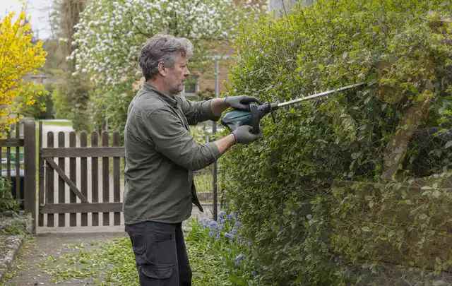 Person schneidet eine Gartenhecke mit einem motorisierten Gartengerät; Thema Freischneider, Schwerpunkt Kosten; Kontrolle.