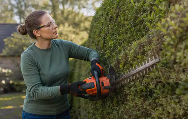 Person schneidet eine dichte Gartenhecke mit Schutzbrille und sicherem Stand; Thema Freischneider, Schwerpunkt Leistung; Ausgangslage.