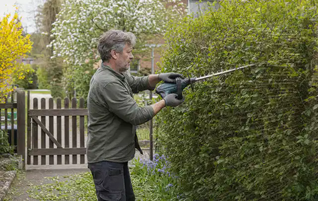 Person schneidet eine Gartenhecke mit einem motorisierten Gartengerät; Thema Freischneider, Schwerpunkt Leistung; Praxisalltag.