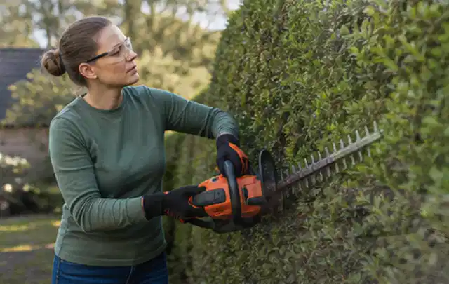 Person schneidet eine dichte Gartenhecke mit Schutzbrille und sicherem Stand; Thema Freischneider, Schwerpunkt Nachhaltigkeit; Ausgangslage.
