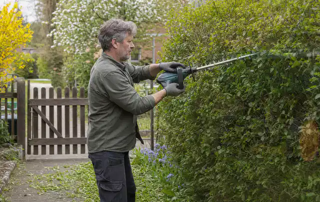 Person schneidet eine Gartenhecke mit einem motorisierten Gartengerät; Thema Freischneider, Schwerpunkt Nachhaltigkeit; Praxisalltag.