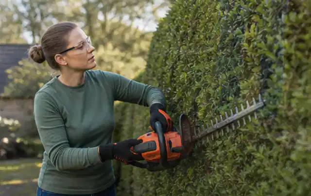 Person schneidet eine dichte Gartenhecke mit Schutzbrille und sicherem Stand; Thema Freischneider, Schwerpunkt Reinigung; Ausgangslage.