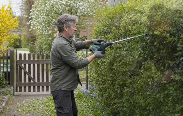 Person schneidet eine Gartenhecke mit einem motorisierten Gartengerät; Thema Freischneider, Schwerpunkt Reparatur; Kontrolle.
